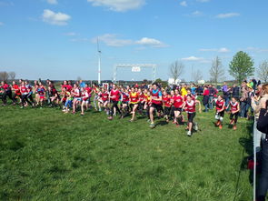 开云电竞官网-青少年体育活动参与动机分析与提升，青少年体育活动参与动机分析与提升研究