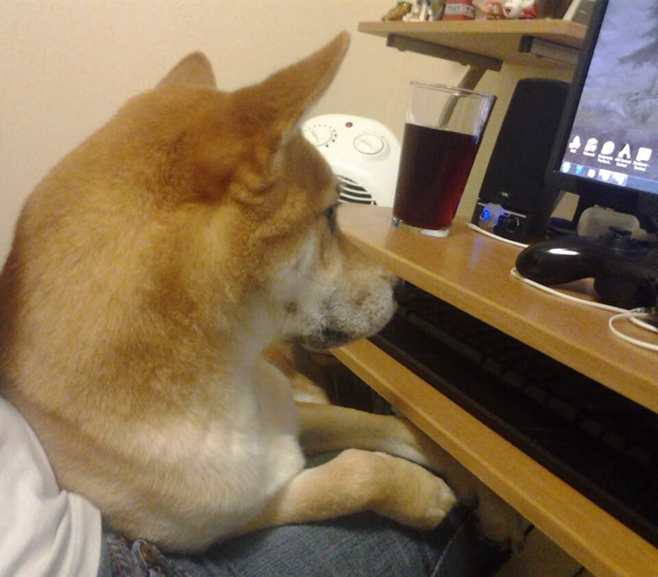 世界围棋赛落子如飞对决引人入胜，世界围棋赛决赛视频