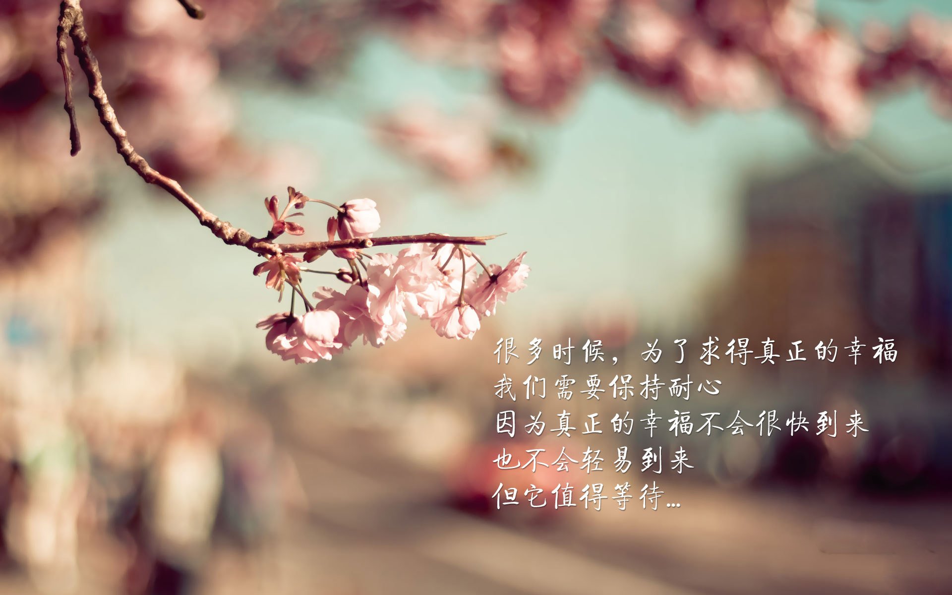 开云官网入口-国际热身赛中国女足晋级 球迷看好未来发展，女足国足