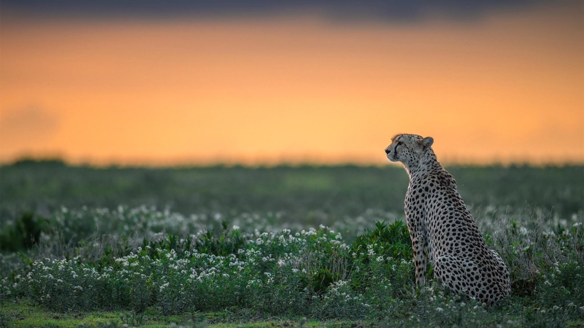 多名年轻选手崭露头角，未来可期