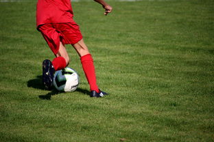 开yun体育-青训球员选拔机制存在结构性偏见，青训选拔喜欢那种球员